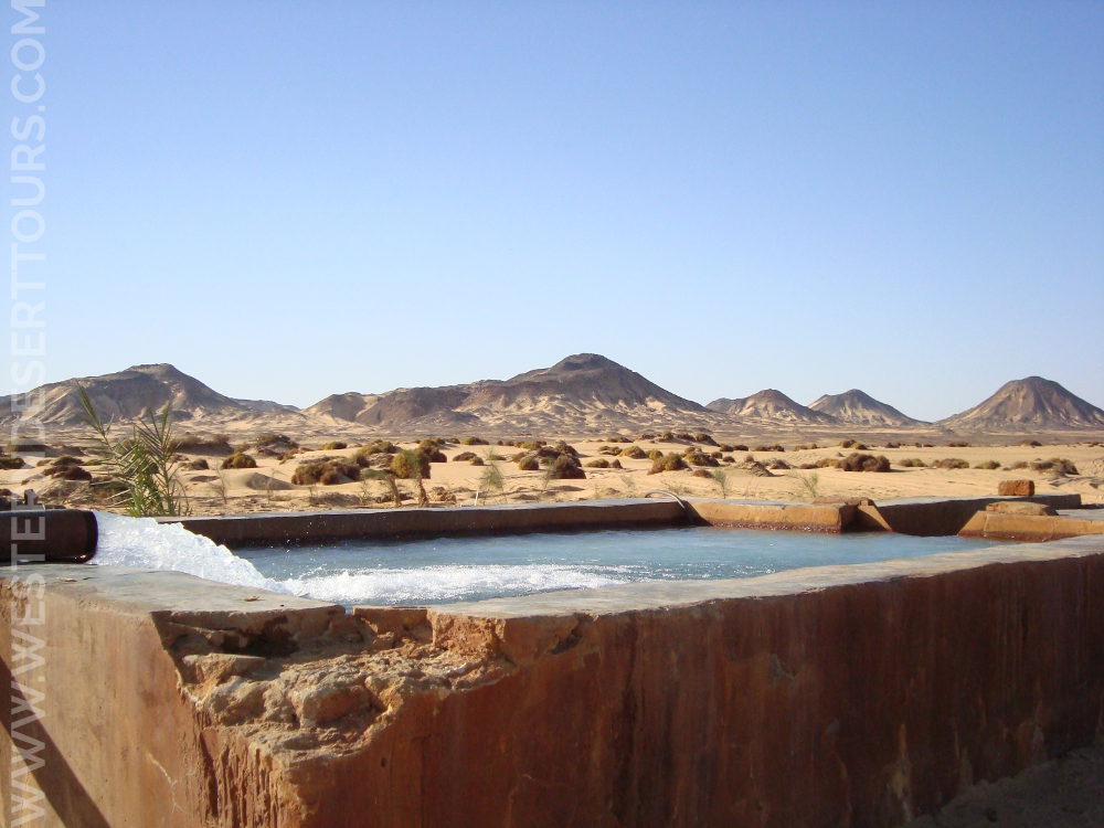 Valley of the Whales (4 Days) | Western Desert Tours