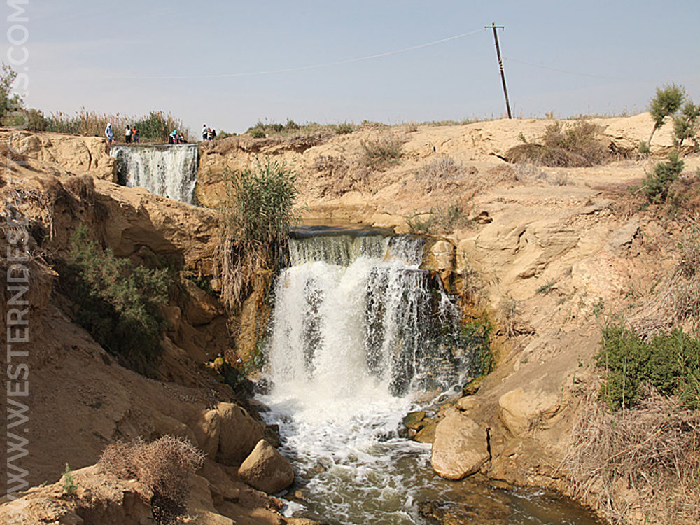 Valley of the Whales (4 Days) | Western Desert Tours